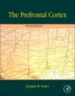 The Prefrontal Cortex - eBook