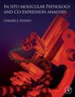 In Situ Molecular Pathology and Co-Expression Analyses - eBook