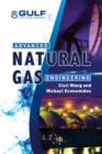 Advanced Natural Gas Engineering - eBook