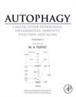 Autophagy: Cancer, Other Pathologies, Inflammation, Immunity, Infection, and Aging : Volume 5 - Role in Human Diseases - eBook