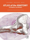 Atlas of the Anatomy of Dolphins and Whales - eBook