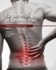Epigenetics of Chronic Pain - eBook