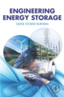 Engineering Energy Storage - eBook