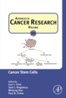 Cancer Stem Cells - eBook