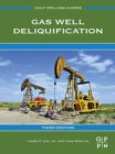 Gas Well Deliquification - eBook