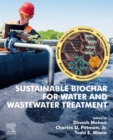 Sustainable Biochar for Water and Wastewater Treatment - eBook