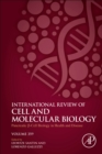 Pancreatic B Cell Biology in Health and Disease - eBook