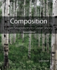 Composition : From Snapshots to Great Shots - eBook
