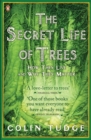 The Secret Life of Trees : How They Live and Why They Matter - Book