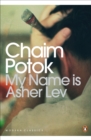 My Name is Asher Lev - Book