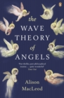 The Wave Theory of Angels - eBook
