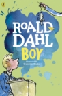 Boy : Tales of Childhood - eBook