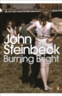 Burning Bright : A Play in Story Form - eBook