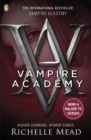 Vampire Academy (book 1) - eBook