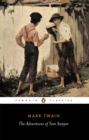 The Adventures Of Tom Sawyer - eBook