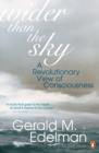 Wider Than the Sky : A Revolutionary View of Consciousness - eBook