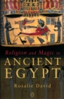Religion and Magic in Ancient Egypt - eBook