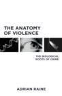 The Anatomy of Violence : The Biological Roots of Crime - eBook