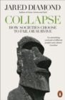 Collapse : How Societies Choose to Fail or Survive - eBook