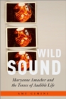 Wild Sound : Maryanne Amacher and the Tenses of Audible Life - eBook