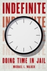 Indefinite : Doing Time in Jail - eBook