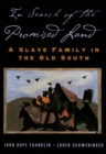 In Search of the Promised Land : A Slave Family in the Old South - eBook