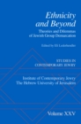 Ethnicity and Beyond : Theories and Dilemmas of Jewish Group Demarcation - eBook