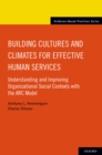 Building Cultures and Climates for Effective Human Services : Understanding and Improving Organizational Social Contexts with the ARC Model - eBook