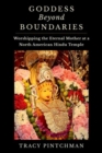 Goddess Beyond Boundaries : Worshipping the Eternal Mother at a North American Hindu Temple - Book