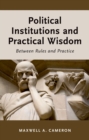 Political Institutions and Practical Wisdom : Between Rules and Practice - eBook
