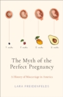 The Myth of the Perfect Pregnancy : A History of Miscarriage in America - eBook