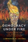 Democracy under Fire : The Rise of Extremists and the Hostile Takeover of the Republican Party - eBook