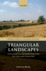 Triangular Landscapes : Environment, Society, and the State in the Nile Delta under Roman Rule - eBook