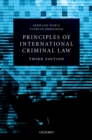 Principles of International Criminal Law - eBook