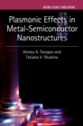 Plasmonic Effects in Metal-Semiconductor Nanostructures - eBook