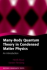 Many-Body Quantum Theory in Condensed Matter Physics : An Introduction - eBook
