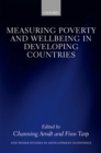 Measuring Poverty and Wellbeing in Developing Countries - eBook