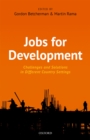 Jobs For Development : Challenges and Solutions in Different Country Settings - eBook