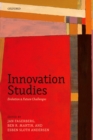 Innovation Studies : Evolution and Future Challenges - eBook