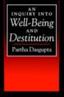 An Inquiry into Well-Being and Destitution - eBook