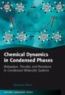 Chemical Dynamics in Condensed Phases : Relaxation, Transfer and Reactions in Condensed Molecular Systems - eBook