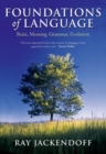 Foundations of Language : Brain, Meaning, Grammar, Evolution - eBook