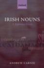 Irish Nouns : A Reference Guide - eBook
