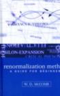 Renormalization Methods : A Guide For Beginners - eBook