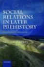 Social Relations in Later Prehistory : Wessex in the First Millennium BC - eBook
