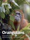 Orangutans : Geographic Variation in Behavioral Ecology and Conservation - eBook