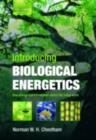 Introducing Biological Energetics : How Energy and Information Control the Living World - eBook