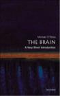 The Brain: A Very Short Introduction - eBook