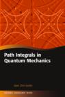 Path Integrals in Quantum Mechanics - eBook