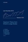 Quantum Theory from Small to Large Scales : Lecture Notes of the Les Houches Summer School: Volume 95, August 2010 - eBook